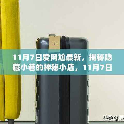 揭秘隐藏小巷的神秘小店,爱网尬之旅的独特体验