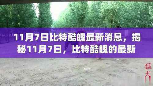 揭秘比特酷魄最新动态与未来展望,11月7日最新消息速递