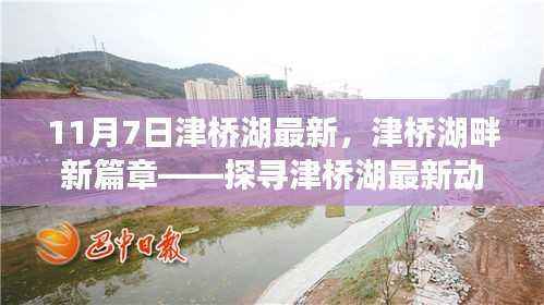 津桥湖最新动态揭秘,11月7日湖畔新篇章开启