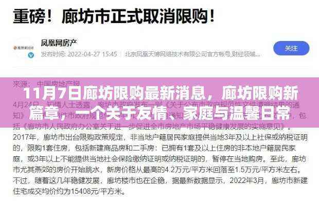 廊坊限购新篇章,友情、家庭与温馨日常的趣事
