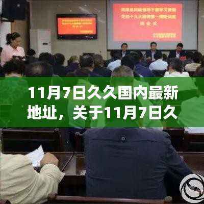 关于涉黄问题11月7日久久国内最新地址的探讨与个人立场分析