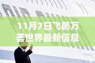 飞鹏万荟世界最新信息深度解析，揭秘11月7日动态