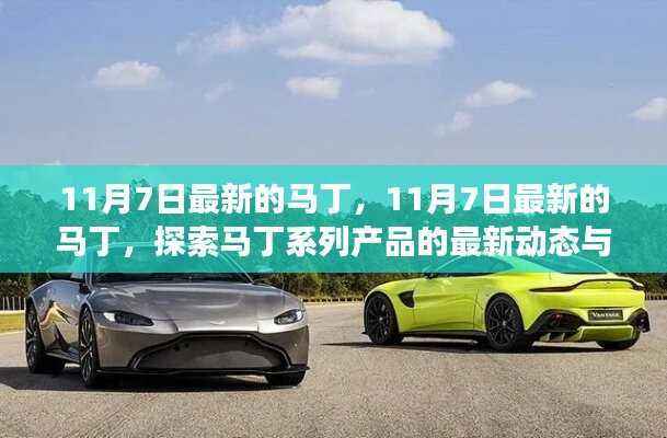 11月7日马丁系列新品动态及未来展望