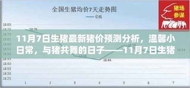 与猪共舞的日子,揭秘最新猪价预测背后的故事