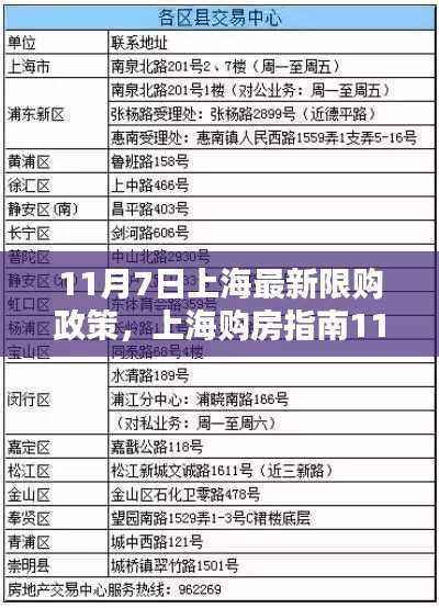 上海购房指南,最新限购政策详解与购房流程全解析(11月7日版)