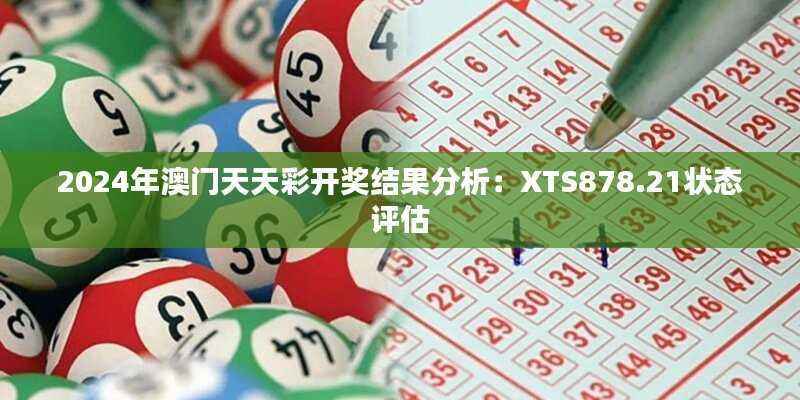 2024年澳门天天彩开奖结果分析:XTS878.21状态评估