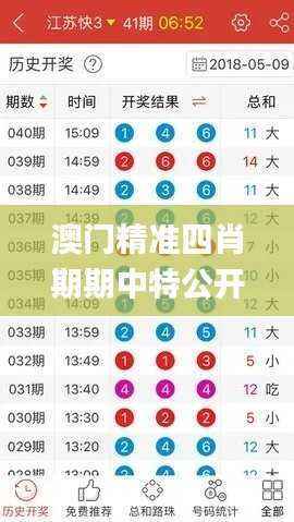 澳门精准四肖期期中特公开,最佳精选解释_创业板XQY960.46