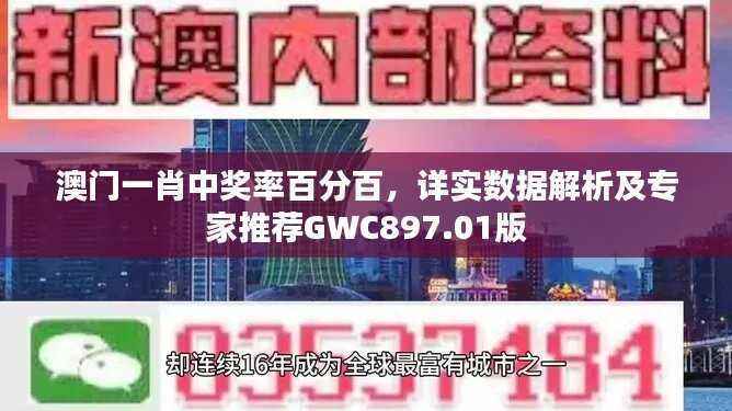 澳门一肖中奖率百分百,详实数据解析及专家推荐GWC897.01版