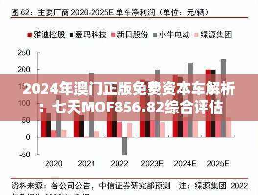 2024年澳门正版免费资本车解析:七天MOF856.82综合评估
