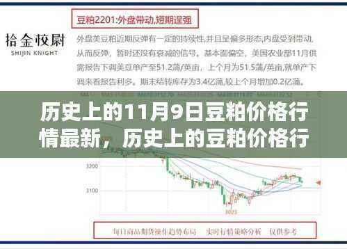 11月9日豆粕价格行情深度解析及历史走势回顾
