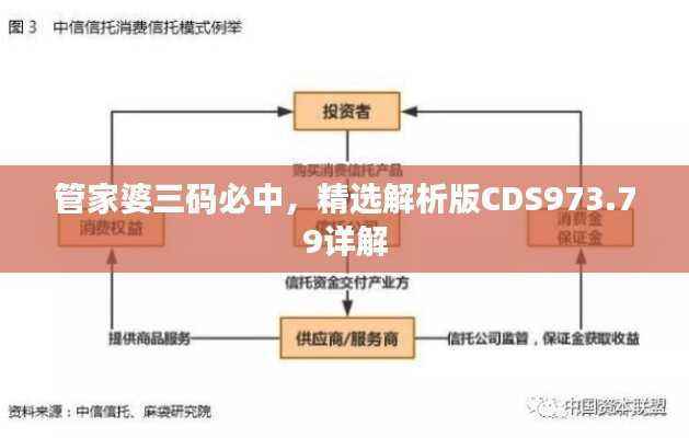 管家婆三码必中,精选解析版CDS973.79详解