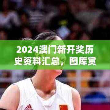 2024澳门新开奖历史资料汇总,图库赏析及音视频版-ZDK355.96