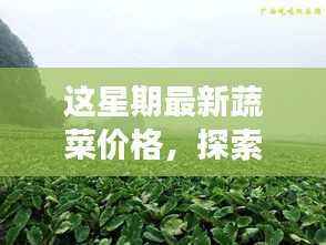 本周蔬菜价格揭秘,自然美景之旅背后的宁静与平和探索