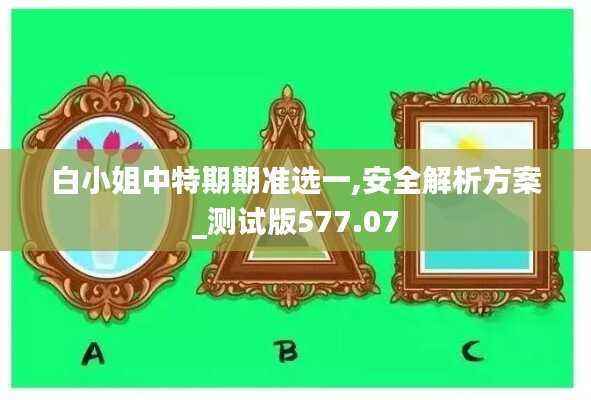 白小姐中特期期准选一,安全解析方案_测试版577.07