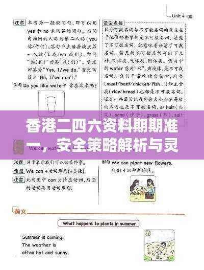 香港二四六资料期期准一,安全策略解析与灵活版ZCO474.16设计揭秘