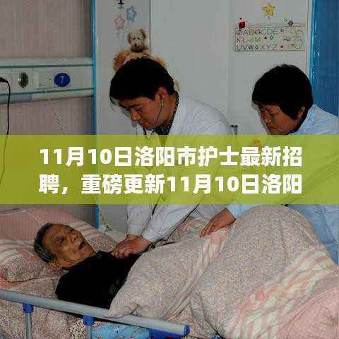 11月10日洛阳市护士全新招聘启事,护理梦想扬帆起航