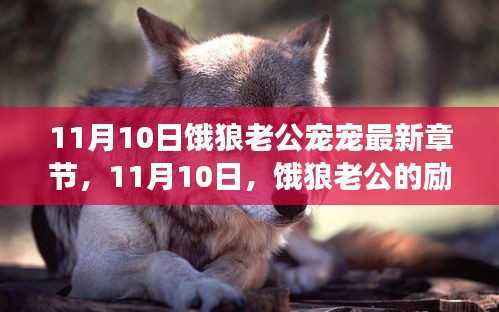 11月10日,饿狼老公的励志成长与宠溺之旅,塑造自信与成就感的最新篇章