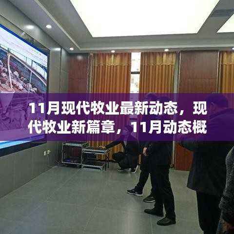 11月现代牧业动态概览,开启新篇章,展望前景发展
