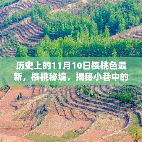 历史上的11月10日,樱桃色揭秘与独特风味探索