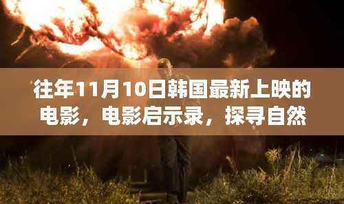 韩国电影启示录,心灵之旅探寻自然美景的韩国电影盛宴