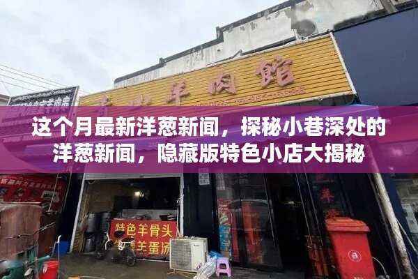 探秘小巷深处的隐藏版特色小店,本月最新洋葱新闻大揭秘