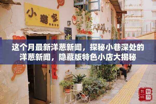 探秘小巷深处的隐藏版特色小店,本月最新洋葱新闻大揭秘