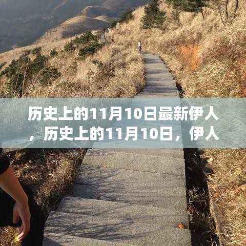 历史上的伊人心灵之旅,探寻自然美景与内心平和的启示(11月10日)