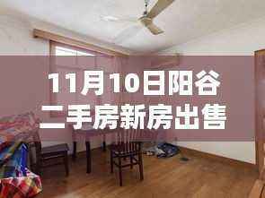 阳谷二手房新房最新信息揭秘,小巷深处的宝藏与独特小店探索