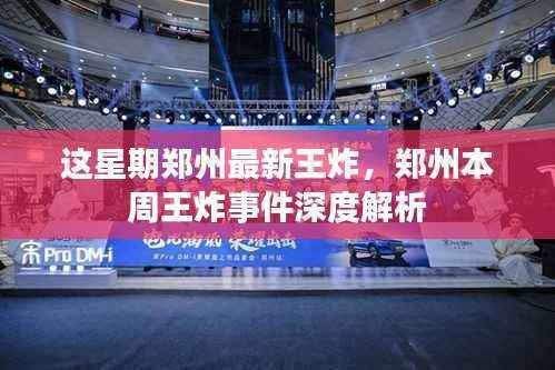 郑州本周王炸事件深度解析，最新事件揭秘