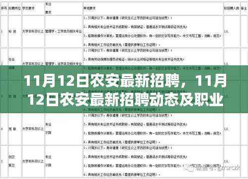 11月12日农安最新招聘动态及职业机会探索,把握职场脉搏