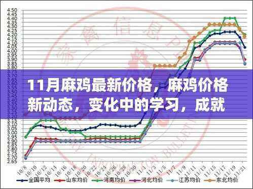 麻鸡最新价格动态,变化中的学习助力自信与荣耀的成就