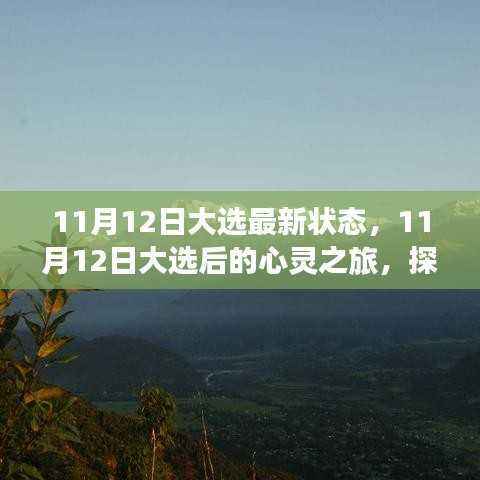 11月12日大选后的心灵之旅，探寻自然美景，重塑内心宁静