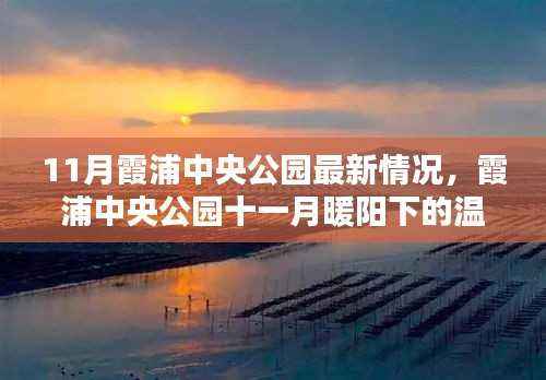 11月霞浦中央公园温馨日常,十一月暖阳下的美景与日常更新