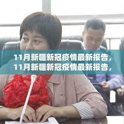 11月新疆新冠疫情最新报告,全面评测与深度介绍