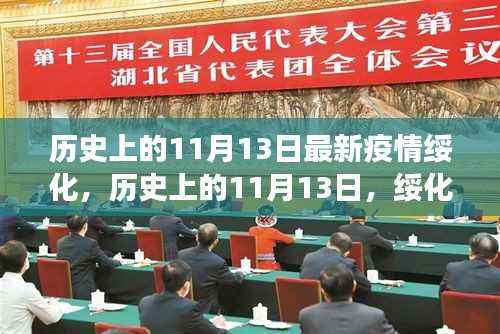 绥化疫情最新进展与历史上的影响洞察,疫情最新进展及影响分析报告(11月13日)