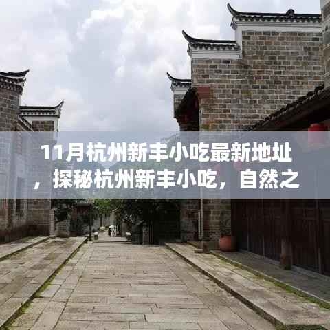 探秘杭州新丰小吃,美食与自然之旅的心灵静谧邂逅(最新地址)