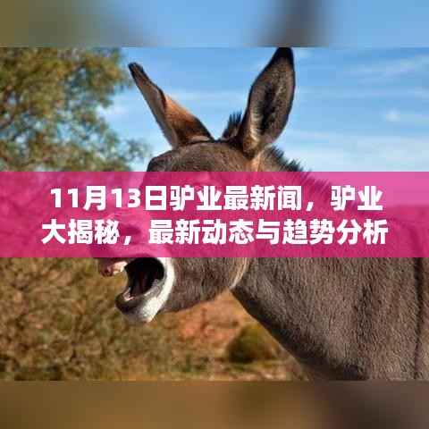驴业前沿资讯大揭秘,11月13日最新动态与趋势分析