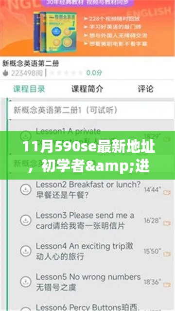 11月590se最新地址获取全攻略,适合初学者与进阶用户掌握最新资讯