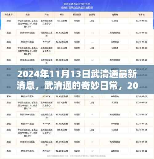 武清通最新消息揭秘,2024年11月13日的奇妙日常与温馨时光