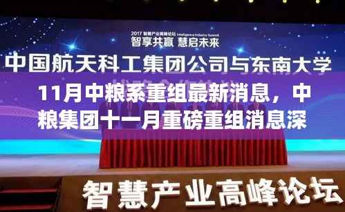 中粮集团十一月重磅重组消息深度解析,最新动态与影响展望