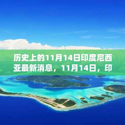 11月14日印度尼西亚自然秘境之旅,探寻内心宁静与自然笑声的旅程