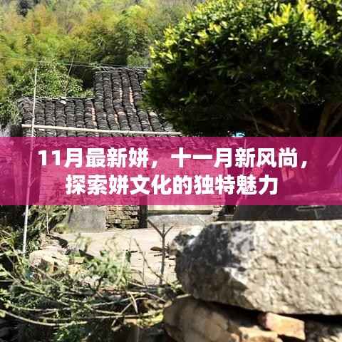 十一月新风尚，探索姘文化的独特魅力