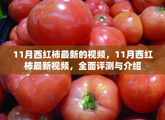 回眸最初 第6页