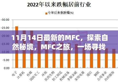 MFC之旅,探索自然秘境,寻找内心平静的奇妙旅程