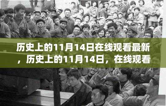 历史上的11月14日,在线观看最新文化演变之旅回顾直播节目