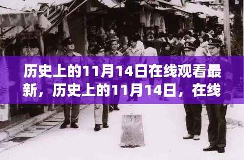 历史上的11月14日,在线观看最新文化演变之旅回顾直播节目