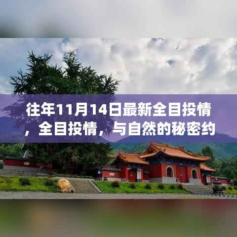 往年11月14日全目投情之旅,与自然秘密的约会,心灵远离尘嚣之旅