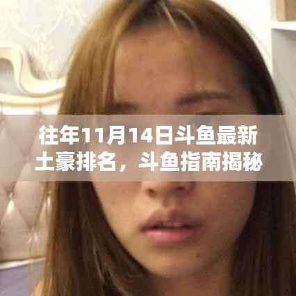 斗鱼土豪排名揭秘,往年11月14日斗鱼土豪榜单及查询技巧指南