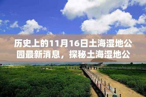 历史上的11月16日与土海湿地公园,探秘公园,揭秘历史与惊喜时刻