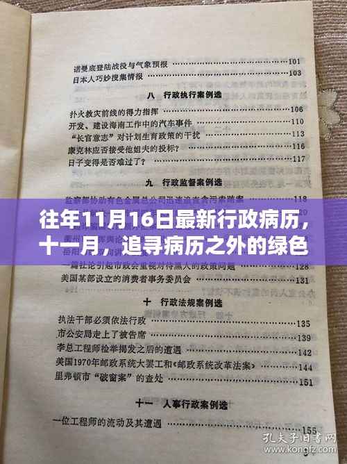 追寻病历之外的绿色奇迹，历年11月16日最新行政病历揭秘